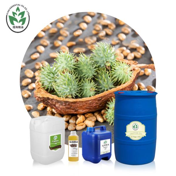 Buy cheap 100% Pure Organic Moisturizing Jamaican Black Castor Oil Hair Growth from wholesalers