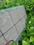 30W 40W 50W 60W 80W Solar Panel PET Semi Transparent Solar Panel 1000V