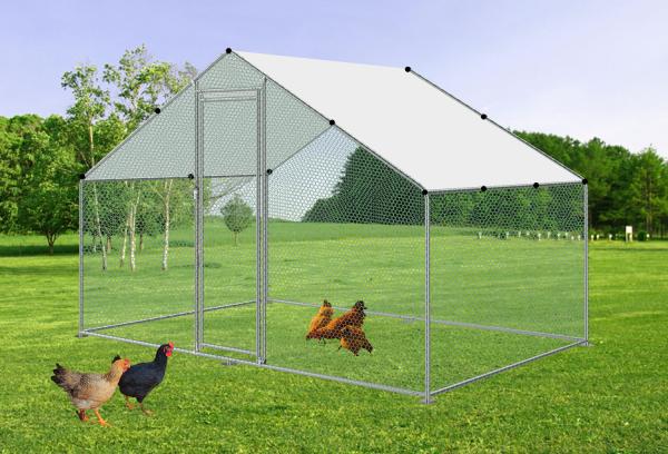 Quality Chicken Run Kennel Chicken Cage 3x2m Walk in Coop for Poultry Dog Rabbit Hen Cage Pen Metal Door for sale
