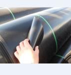 ISO9001 Geomembrana HDPE 40 Mils Water Reservoir Heavy Duty Pond Liner