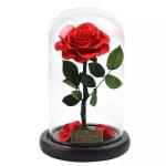 Preserved Rose Flower The Little Prince for Lasting Decoration