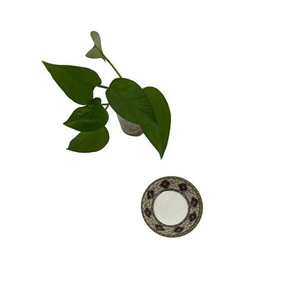 Buy cheap Housewares Outdoor Unbreakable Dishes Melamine Non Toxic 531 Series from wholesalers
