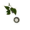 Buy cheap Housewares Outdoor Unbreakable Dishes Melamine Non Toxic 531 Series from wholesalers