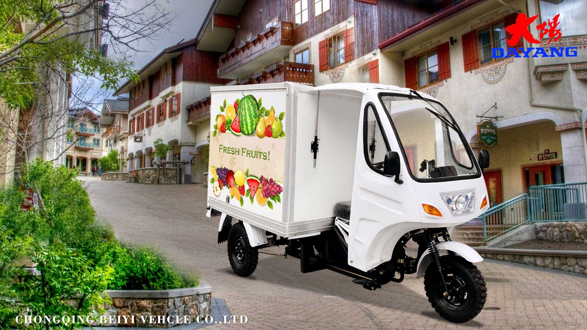 DAYANG Closed Body Express Cargo Tricycle AIR-cooling Engine 4.5 inch for B2B Shipping