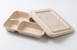 One Time Use Dinner Plate Biodegradable Food Containers Compostable