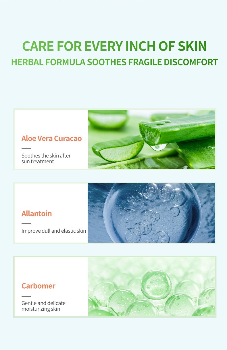 OEM Private Label Moisturizing and Soothing Aloe Vera Gel Creams Skin Rejuvenating Hydrating Face Cream Beauty Facial Skin Care