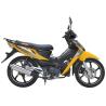 Buy cheap motorcycles 125cc cross gasoline 50cc/110cc/125cc mini EEC Haoji n Super Lady/Ladies Cub Motorcycle motorcycle parts 125 from wholesalers
