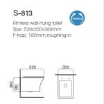 ALLWELL Rimless Wall Hung Toilet Rimless P Trap Ceramic WC in Wall Suspended
