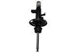 6887934 6887157 Air Suspension Parts For BMW X3 G01 X4 G02 2017-2020 Front Shock