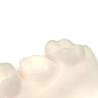 Buy cheap Flexibility Strength Dental Resin 3d Printing from wholesalers