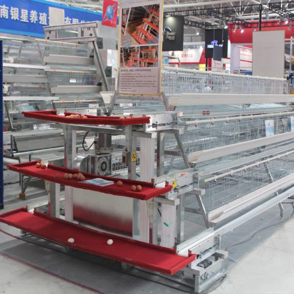 Buy cheap 3 Tiers Automatic Battery Cage Poultry Farming A Type from wholesalers