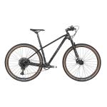 29 Inch Wheel Carbon Fiber Mountain Bike SRAM SX 12S Hydraulic Disc Brake