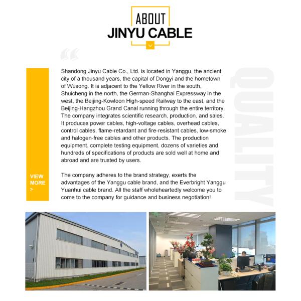 BV BVR PVC Copper Irrigation Electrical Wire Customized For Underground