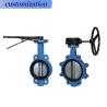 Buy cheap Diaphragm Structure Hydraulic CF8 Di Ci EPDM PTFE Strong Acid Lever Lug Butterfly Valve from wholesalers
