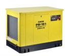 20KW LPG Natural Gas Gasoline Generator with Electric Starting and 380V Rated