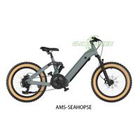 Buy cheap Color LCD Display Fat Tyre Electric Bike With 32Km/H Speed Hydraulic Disc Brakes product