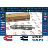 Buy cheap Fuel Injector 4928349 4928345 4928346 4928347 For QSK Engine from wholesalers