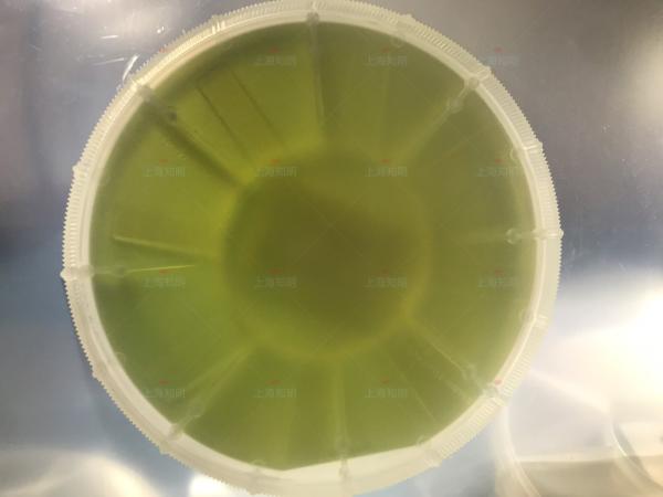 Quality 4inch 6Inch 4H-N 500mm 350um SIC wafer Silicon Carbide sic Substrate Prime Dummy Grade for sale