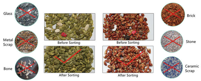Bean Sorting 2.5T/H X Ray Inspection Equipment For Bulk Materials