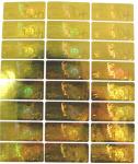 Waterproof Hologram Security Stickers , Gold Sticker Printing In 2D / 3D Labels