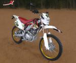 Motor Cross For Adults Air Cooling 200-250cc Dual Sport Motorcycle with 4-6 Fuel