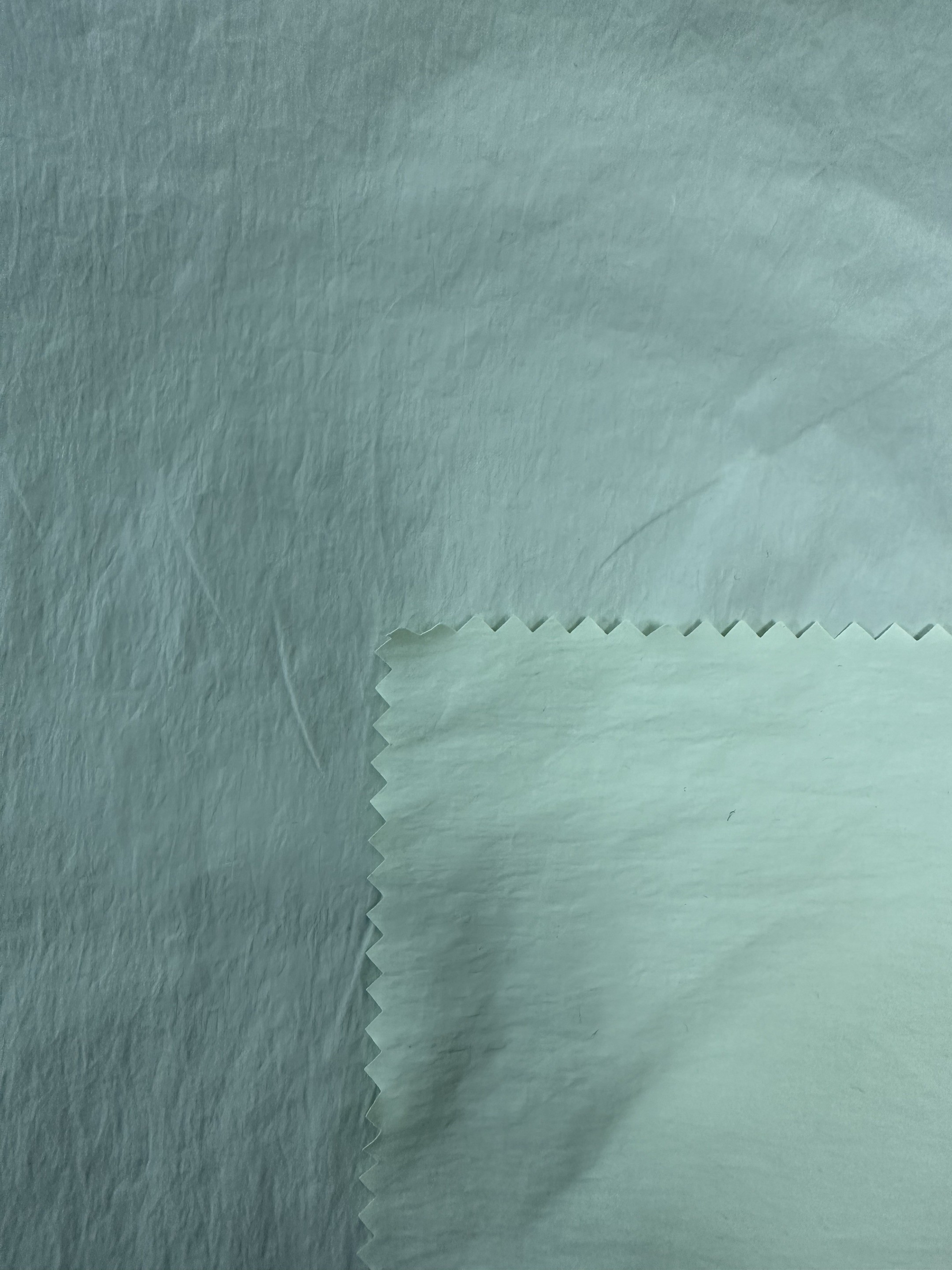 40D*40D 100%N 90GSM Nylon Fabric