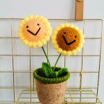 New Creative Luxury Handmade Crochet Knitting Plants Flowers Handicraft Home