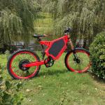 2016 new model 20 inch 48v/29ah lithium battery electric bicycle with 3000w