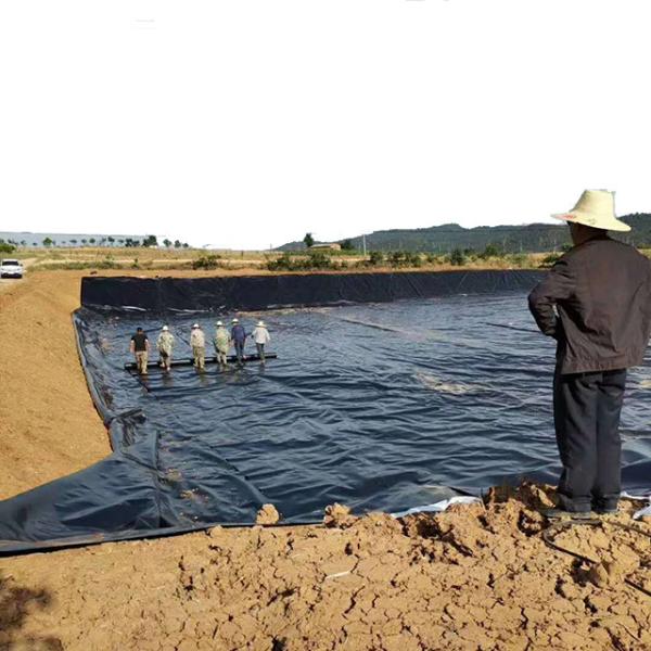 Buy cheap Chinese Geomembrane Provides Green Impermeable Membrane with GB/ASTM GRI-GM13 Standard from wholesalers