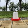Buy cheap Easy Install Chicken Waterer Red Bird Watering Dispensers Drip Free from wholesalers