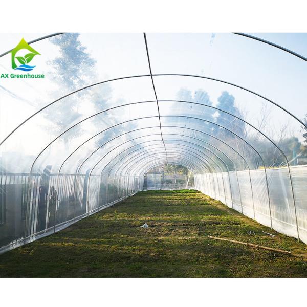 Buy cheap Agricultural Polytunnel Commercial Hydroponic Greenhouse For Mushroom Cultivation from wholesalers