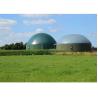 Buy cheap Anaerobic Gas Extraction Biogas Digester Restaurant Kitchen Waste Treatment from wholesalers