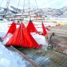 Buy cheap Anti Slip PVC Vinyl Tarp 6X6m PVC Snow Removal Tarpaulin Matte 18oz Tarp from wholesalers