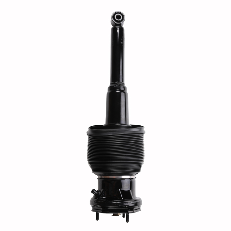 High Accuracy Air Shock Absorber For Toyota Lexus LS430 Rear Left / Right 4808050163