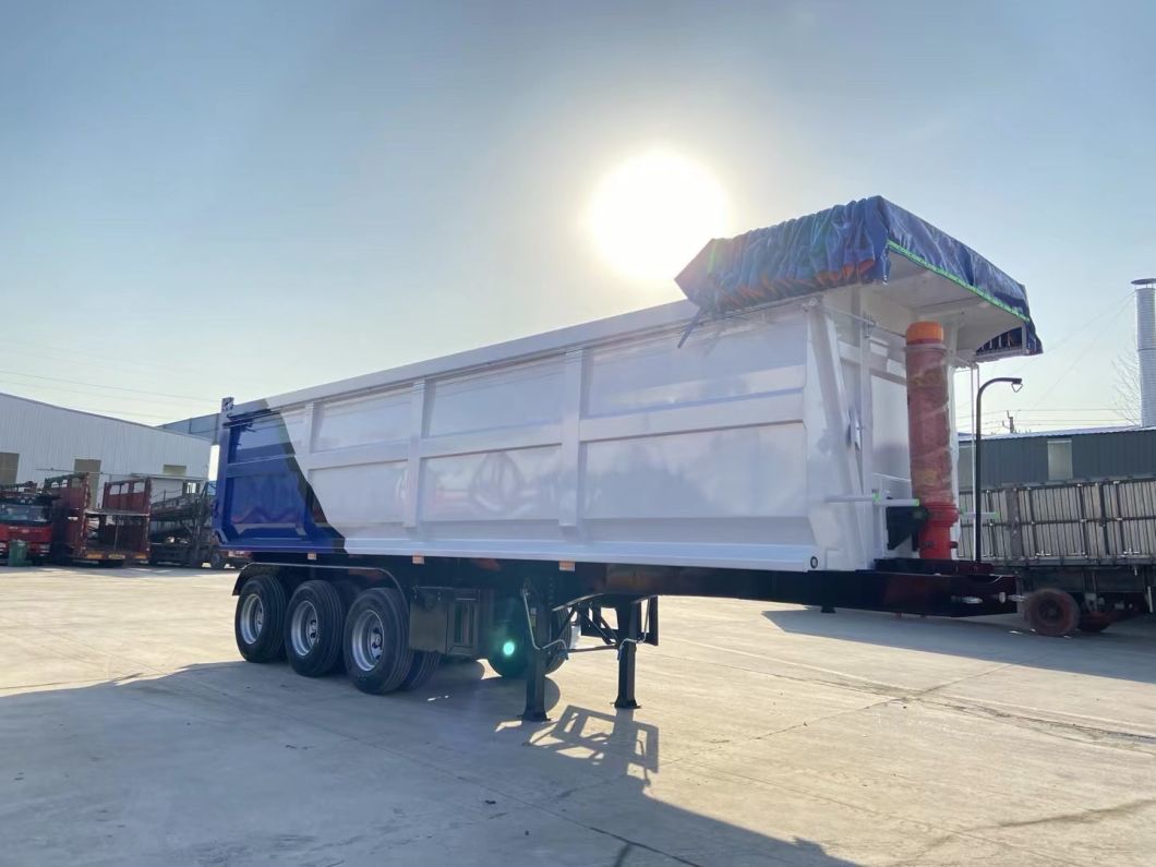 Multi Funtion Cargo Low Bed LPG Fuel Oil Tank Tipper Dumper