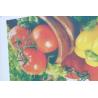 Buy cheap Chain Feeding Printing Slotting Machine Fruit Packaging Box from wholesalers