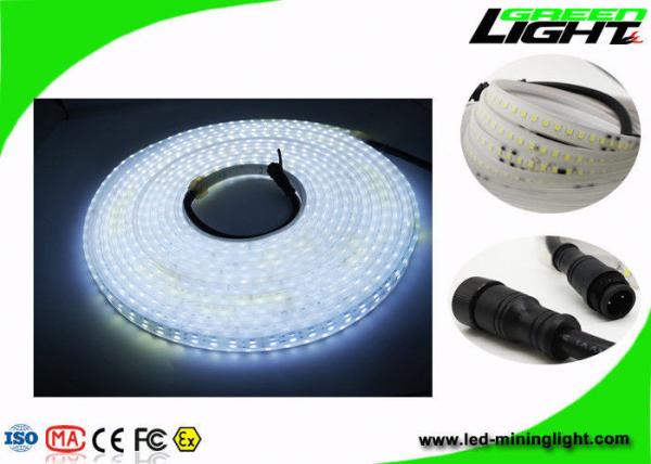 1100LM IP68 Waterproof Led Strip Lights 15W 110V Anti Alkali SMD5050 Silicone