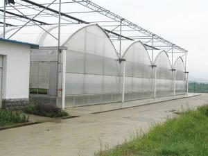 Buy cheap Double Layer Dutch Bucket Commercial Hydroponic Greenhouse For Tomato Planting from wholesalers