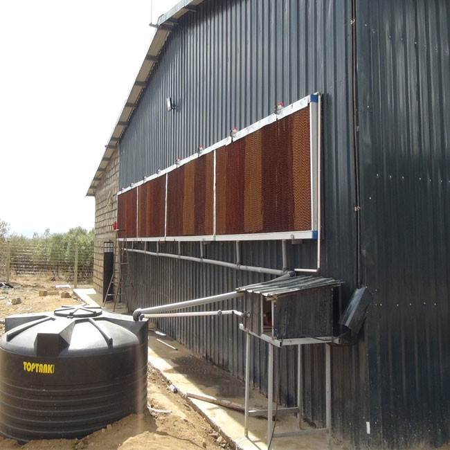 Hot Galvanized Automatic H Type Chicken Cage Layer Poultry For Farming Equipment