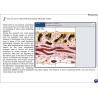 Buy cheap Immunoassay System Treatment Type metatron hunter 4025 NLS Body Composition Analyzer from wholesalers