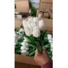 Buy cheap Best sell Wedding Decorative PU Real Touch Tulip Rose Flowers Tulips Artificial Flower from wholesalers