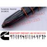 Buy cheap Fuel Injector Cum-mins In Stock NTA855 Common Rail Injector 3018835 3054250 3210797 from wholesalers