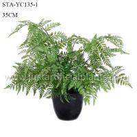 Buy cheap Simulated Fake Fern Tree , Fake Outdoor Ferns Easy To Care With Ceramic Like Pot product