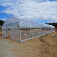 Buy cheap Single Span PE Film Greenhouse TUV Low Cost Poly Tunnel Greenhouse product