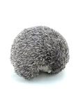 Small Animal Warm Color Cute Hedgehog Soft Plush Toy Christmas Children Playing