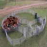 Buy cheap Square Hot Dipped Galvanized Cattle Yard Panels 50x50mm 40x40mm from wholesalers