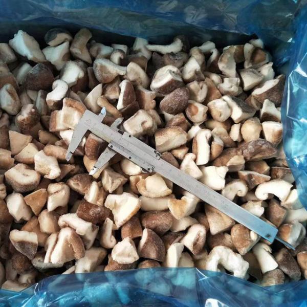 Buy cheap GFSI Grade A Quarter Cut IQF Frozen Shiitake Mushrooms from wholesalers