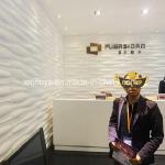 Store Background Wall Acoustic Panels with Beautiful Waterproof Sound Insulation