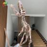 Buy cheap Waterproof Fiberglass Dinosaur Skeleton Replicas For Museum Exhibition from wholesalers