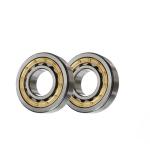 NU203 ECP Cylindrical Bearing Rollers Premium Quality 17x40x12mm Nj 203 Bearing